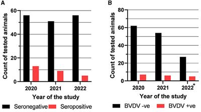 A longitudinal study of bovine viral diarrhea virus in a semi-closed management dairy cattle herd, 2020–2022